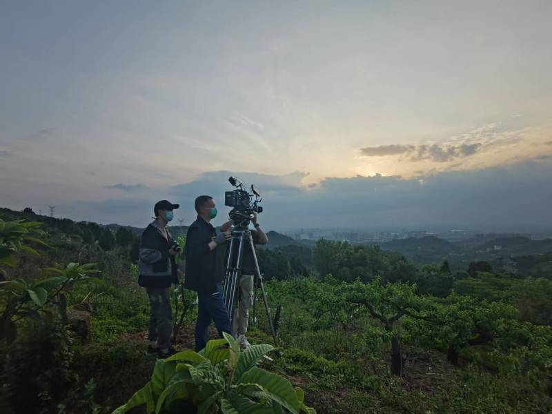 创意破圈！古塔区电商产品宣传视频用故事化叙事引爆流量