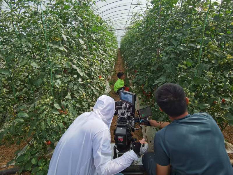 古塔区产品宣传视频拍摄公司进阶指南，助力品牌抢占传播高地